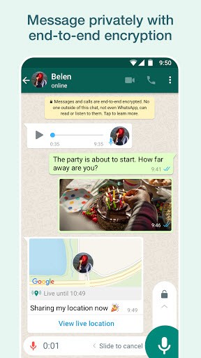 whatsapp
