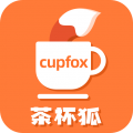 茶杯狐cupfox