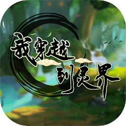 我穿越到灵界