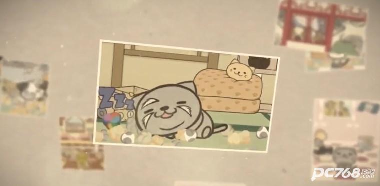 猫咪的毛