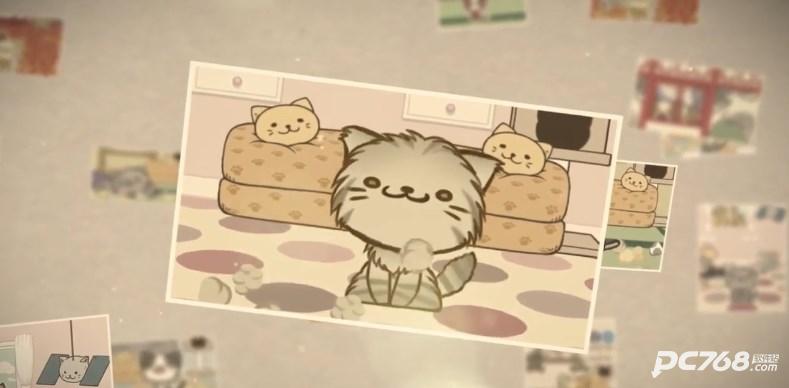 猫咪的毛