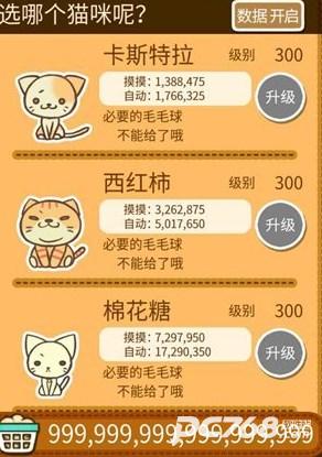 猫咪的毛