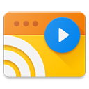 web video caster投屏