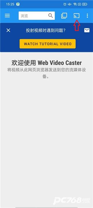 web video caster投屏