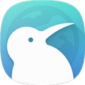 kiwibrowser浏览器