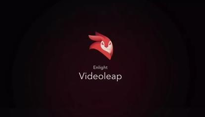 Videoleap