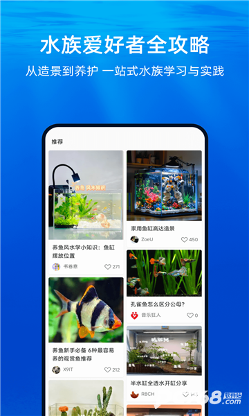 当贝鱼缸