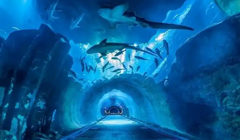 深海水族馆