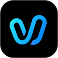 ViduAI